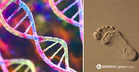 Human DNA can now be pulled from thin air or a footprint on the beach. Here’s what that could mean